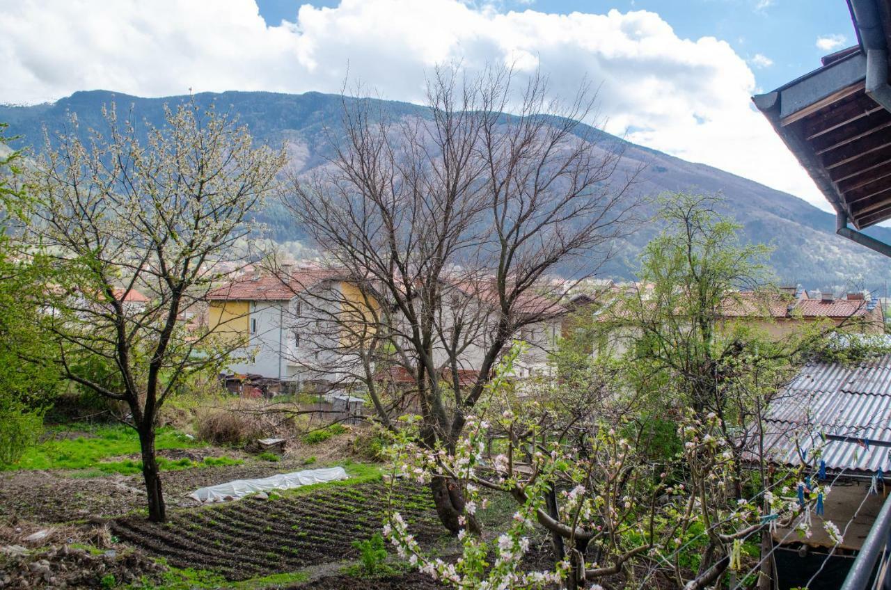 Guesthouse Juli ساباريفا بانيا المظهر الخارجي الصورة